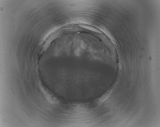 X0000061760434200512231555