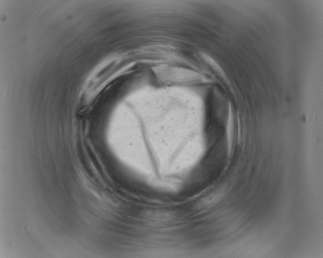 X0000061760435200512231555