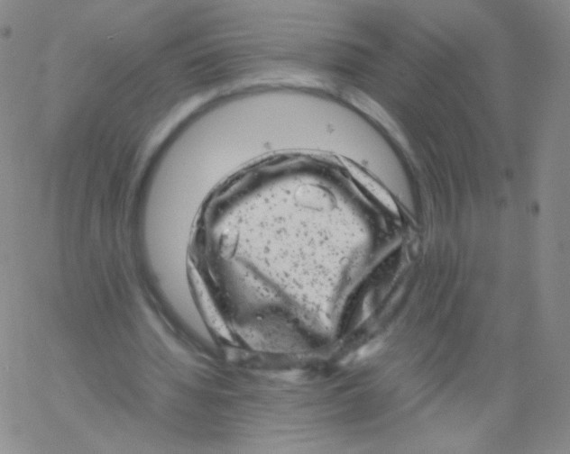 X0000061760436200512231555