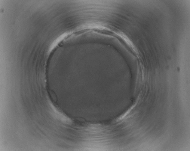 X0000061760438200512231555