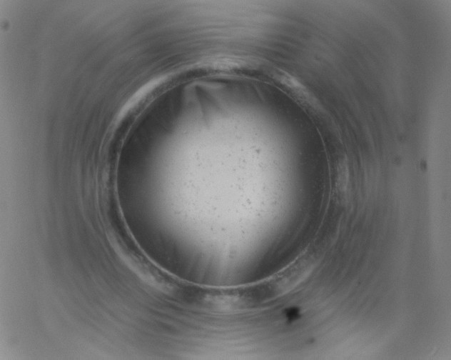 X0000061760440200512231555