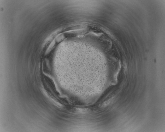 X0000061760442200512231555