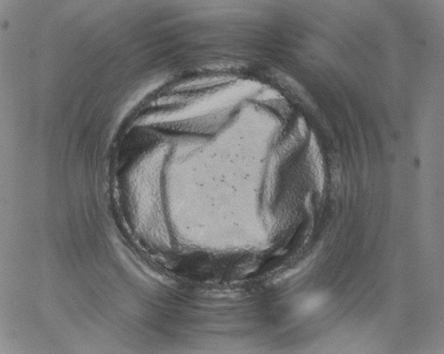 X0000061760443200512231555