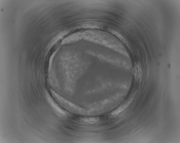 X0000061760445200512231555