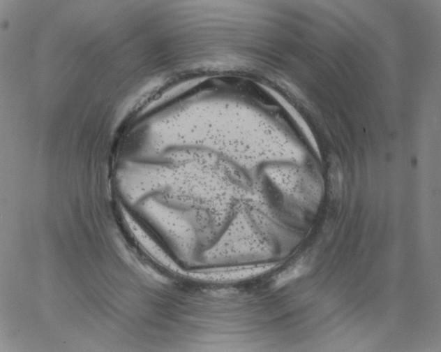 X0000061760446200512231555