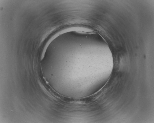 X0000061760448200512231555