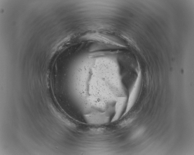 X0000061760450200512231555