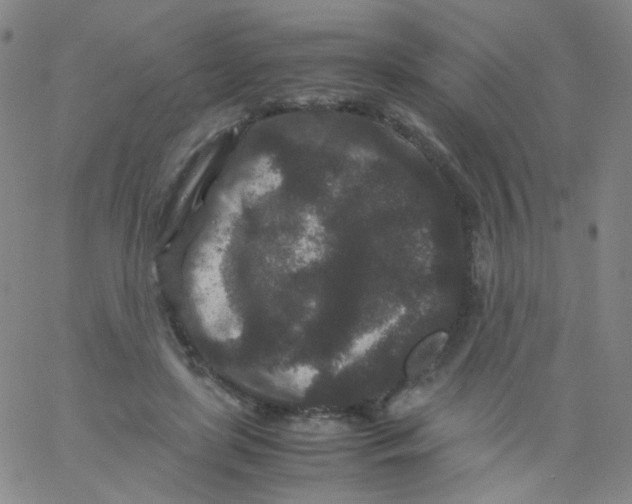 X0000061760451200512231555