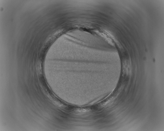 X0000061760453200512231555