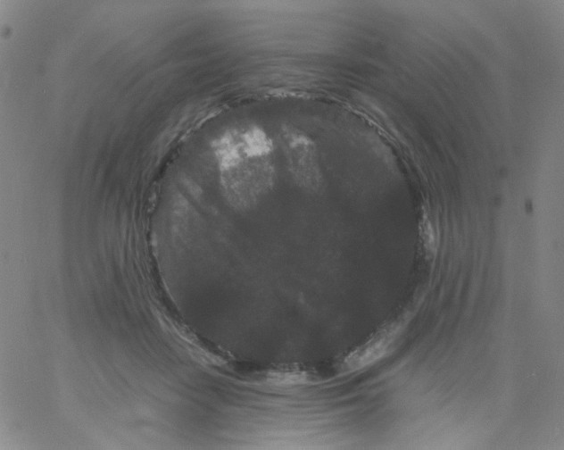 X0000061760458200512231555