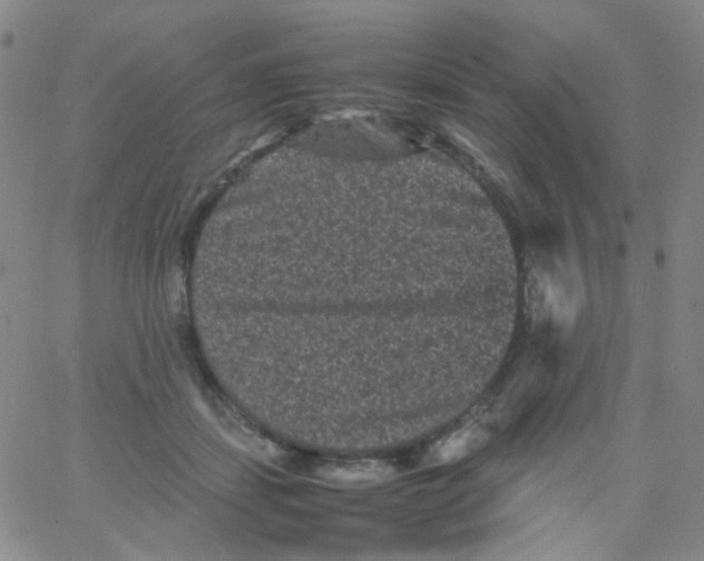 X0000061760459200512231555