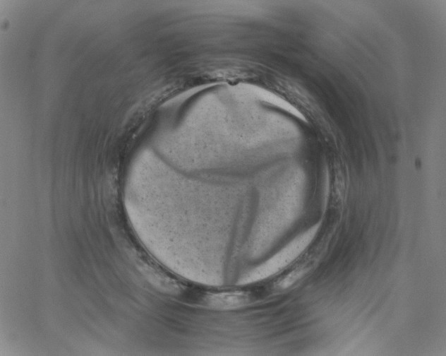 X0000061760461200512231555