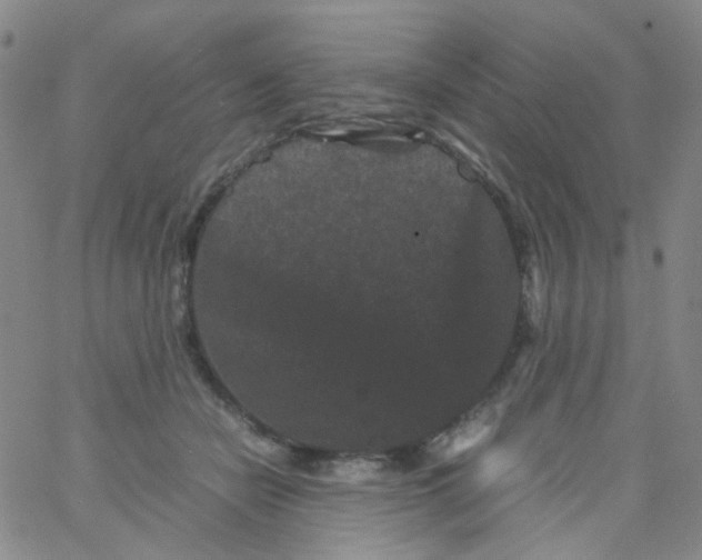 X0000061760462200512231555