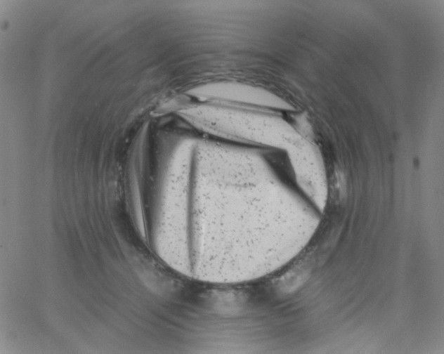 X0000061760464200512231555