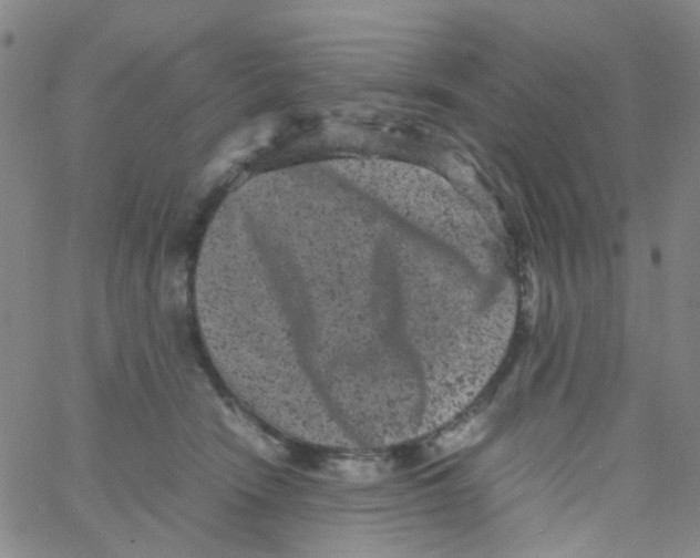 X0000061760466200512231555