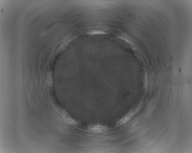 X0000061760467200512231555