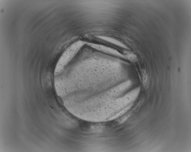 X0000061760470200512231555