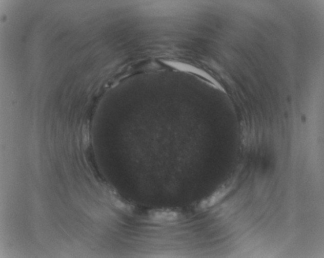 X0000061760471200512231555