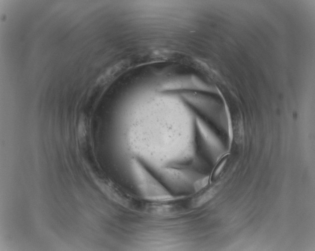 X0000061760472200512231555