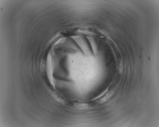 X0000061760476200512231555