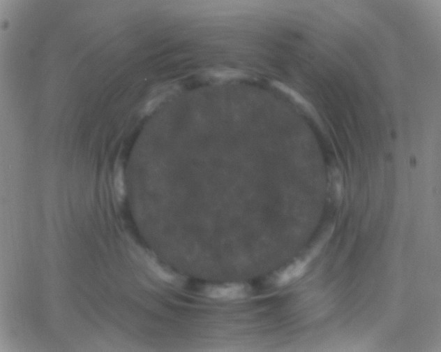 X0000061760479200512231555