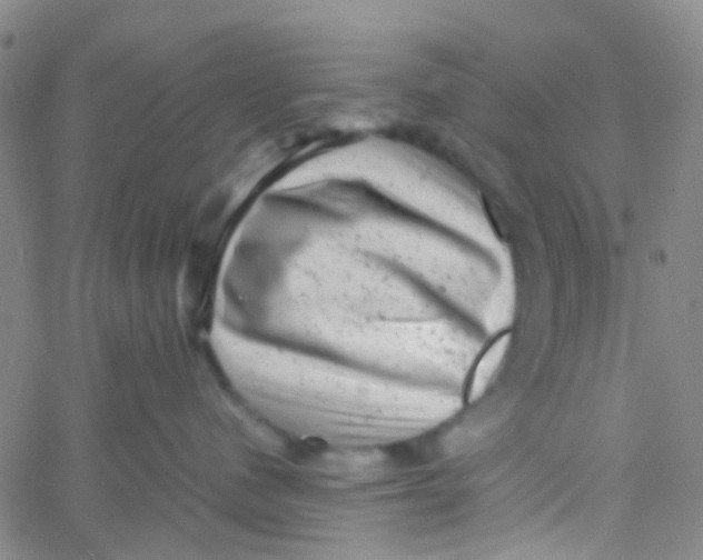 X0000061760480200512231555