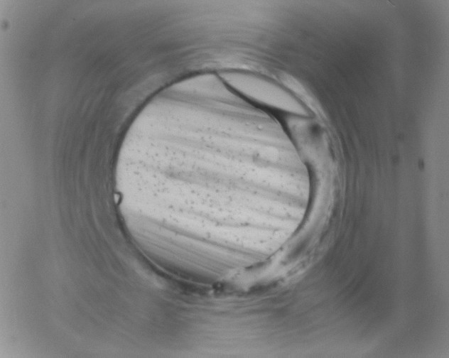 X0000061760481200512231555