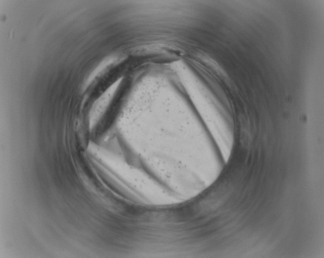 X0000061760482200512231555