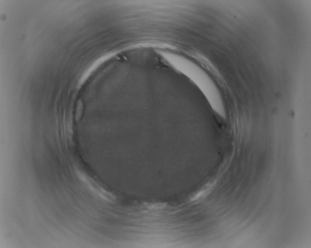 X0000061760484200512231555