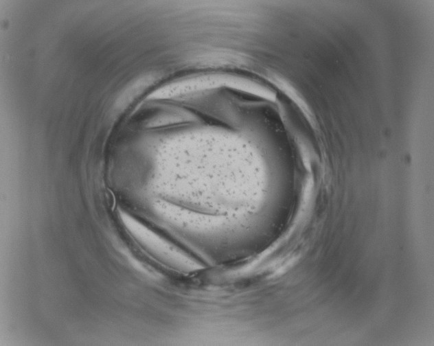 X0000061760485200512231555