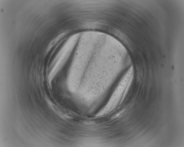 X0000061760486200512231555