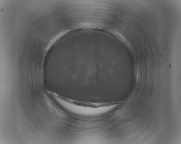 X0000061760488200512231555