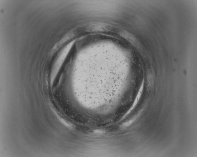 X0000061760489200512231554