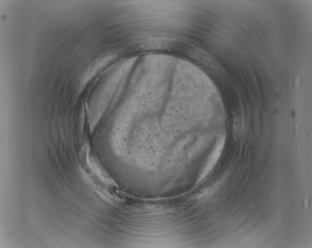 X0000061760490200512231554