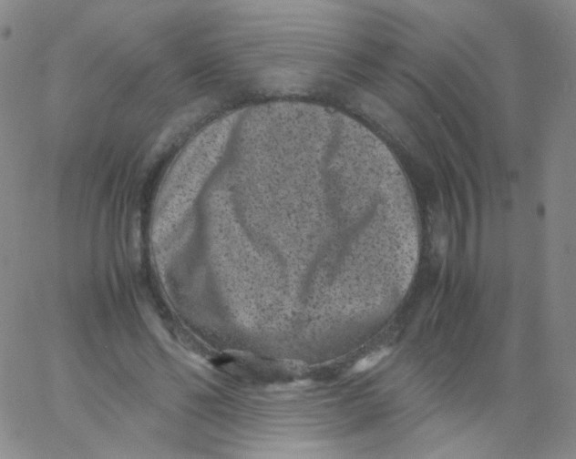 X0000061760494200512231554