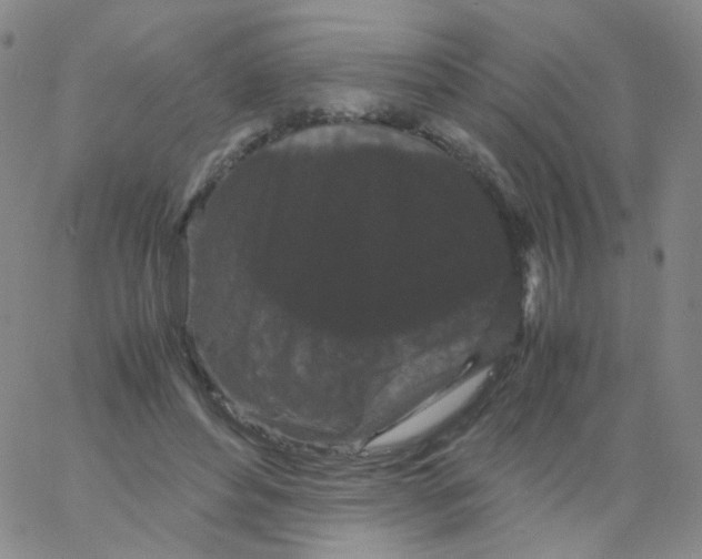 X0000061760496200512231554