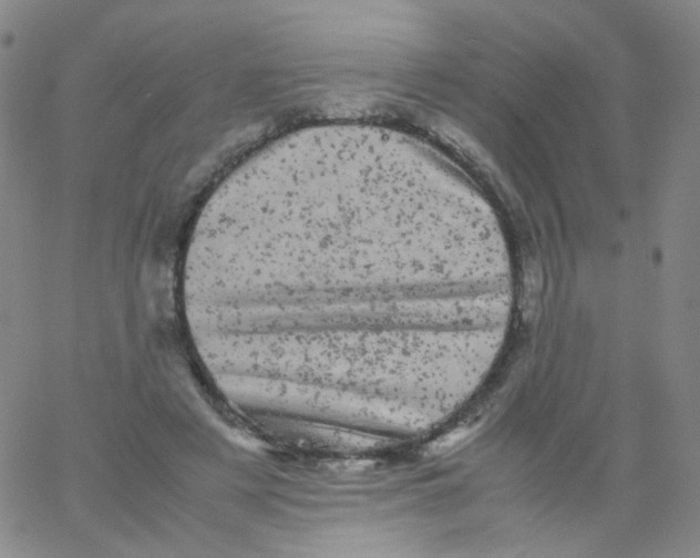 X0000061760497200512231554