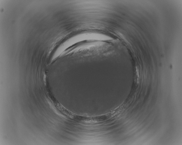 X0000061760500200512231554