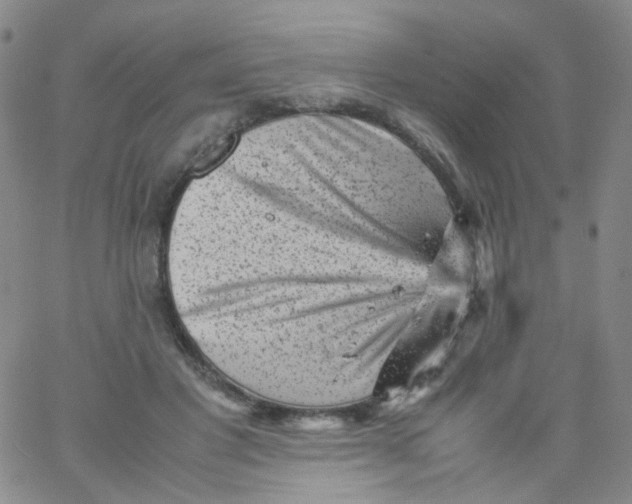 X0000061760501200512231554