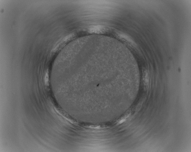 X0000061760502200512231554