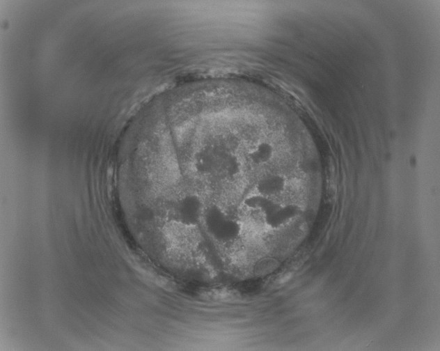 X0000061760503200512231554