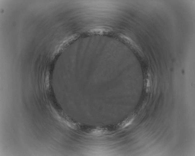 X0000061760504200512231554