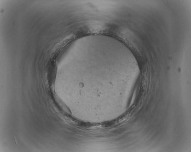 X0000061760505200512231554