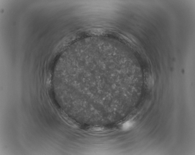 X0000061760507200512231554