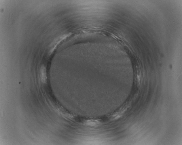 X0000061760508200512231554