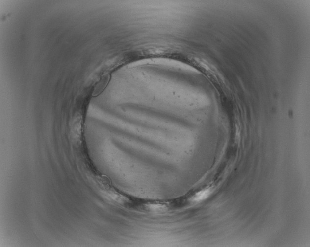 X0000061760509200512231554