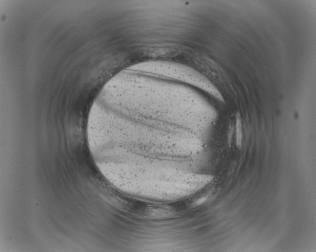 X0000061760510200512231554