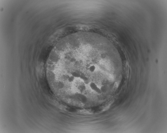 X0000061760511200512231554