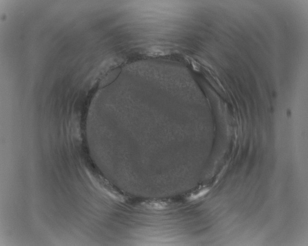 X0000061760512200512231554