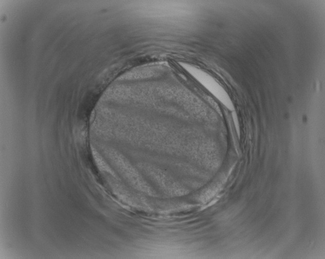 X0000061760513200512231554